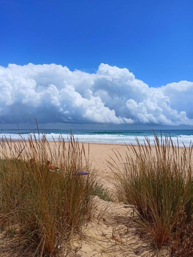Summer Is Back لاغوس المظهر الخارجي الصورة